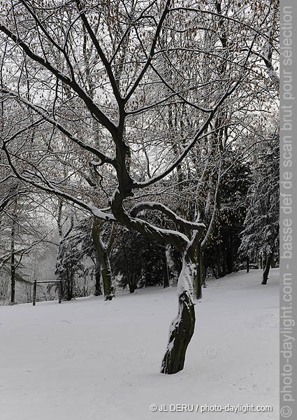 parc de Cointe sous la neige